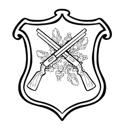 Купити Рації або радіостанції Baofeng з швидкою доставкою